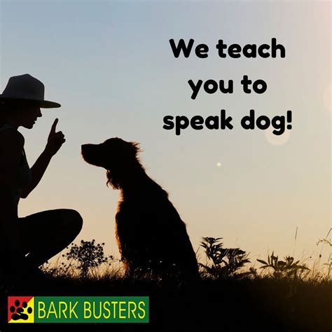 Bark Busters Is The Worldwide Leader Of In Home Dog Training Our Goal