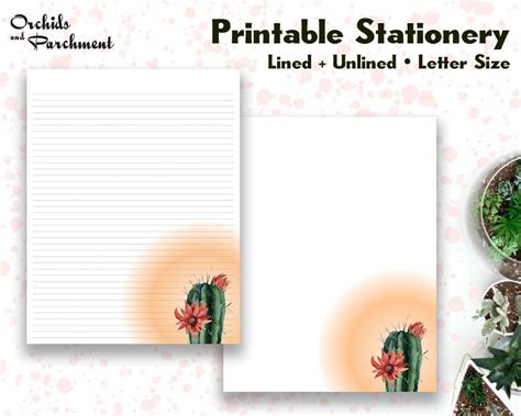 Stationery Cactus Letter Writing Paper Letter Size Etsy