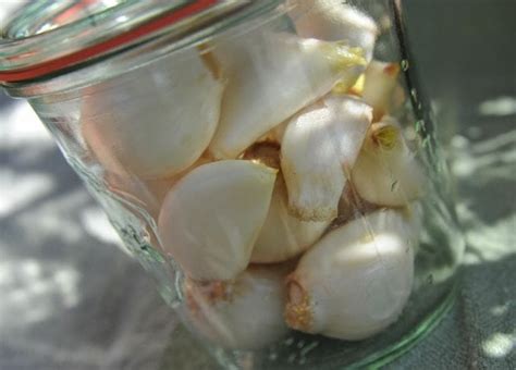 I prefer the patterson variety that johnny's seeds. growing and storing a year of garlic - A Way To Garden
