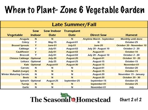 When To Plant Vegetables In Zone 6 The Seasonal Homestead