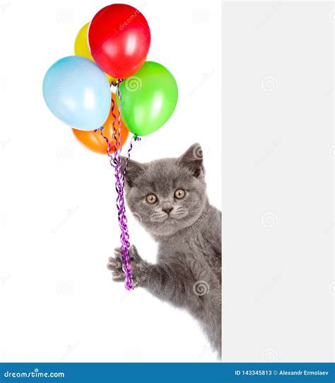 Cat Holding Balloons Peeking From Behind Empty Board Isolated On White