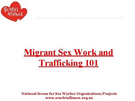 Migrant Sex Work And Trafficking 101 National Forum