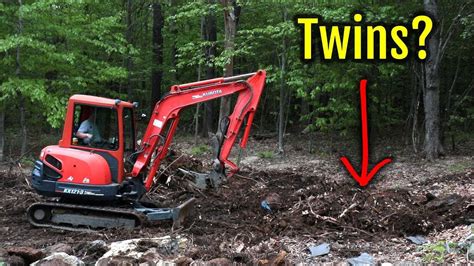 Removing Twin Conjoined Tree Stumps Kubota Kx121 3 Mini Excavator