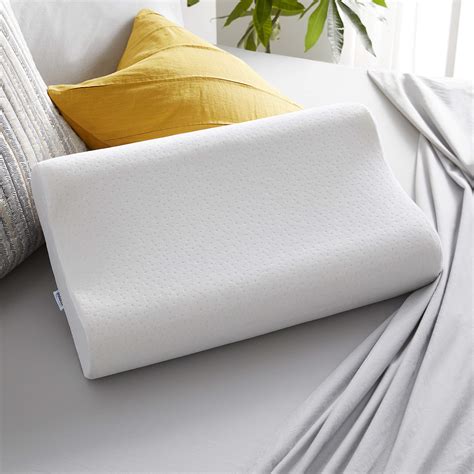 The Best 23 Innocor Comfort Pillow Big Lots Youngimageeffectjibril