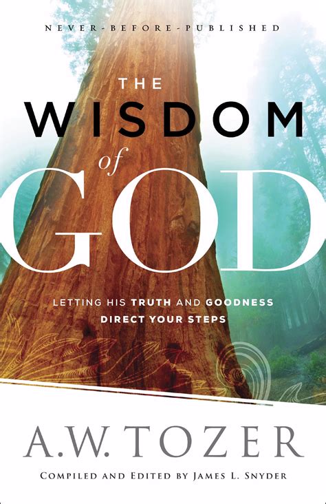 The Wisdom Of God 9780764218088 Free Delivery Uk