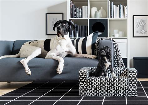 Lurvig For Cats And Dogs Ikea