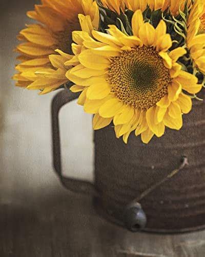 It tells a story about you, your sense of humor, and your attitude to the whole cooking/dishwashing ordeal. Amazon.com: SUNFLOWER Photo - Modern Farmhouse Decor ...