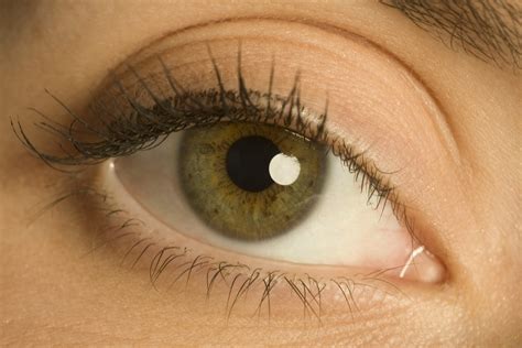 Hazel Eyes Pictures Genetics And Facts Vision Center