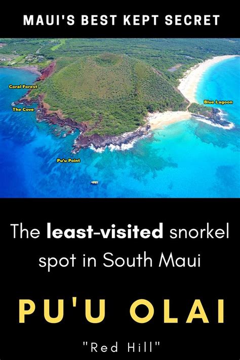 Best Snorkeling Spots In South Maui Christia Turley