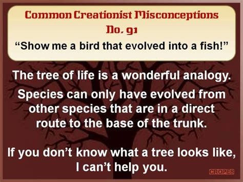 Creationist Misconceptions