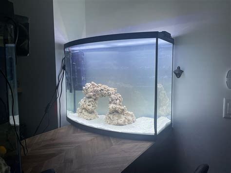 first saltwater tank r saltwateraquariumclub