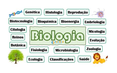 Top 87 Imagen Biologia Mapa Mental Viaterra Mx