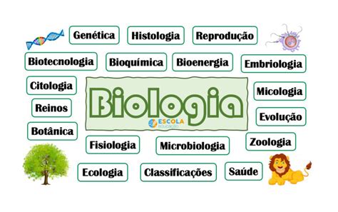 37 Mapas Mentais De Biologia Baixe Grátis Mapas Mentais Em Pdf