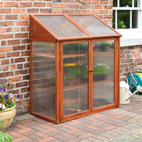 Buy Mini Greenhouse Delivery By Crocus