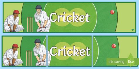 Cricket Display Banner Teacher Made