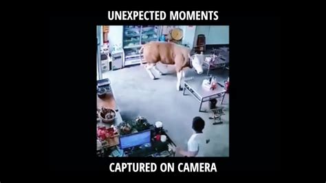 unexpected moments caught on camera youtube
