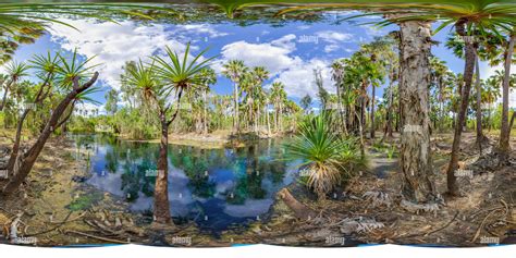 Bitter Springs Stock Photos & Bitter Springs Stock Images - Alamy