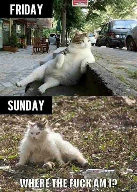 30 Hangover Memes That Are Way Too True Funny Couple