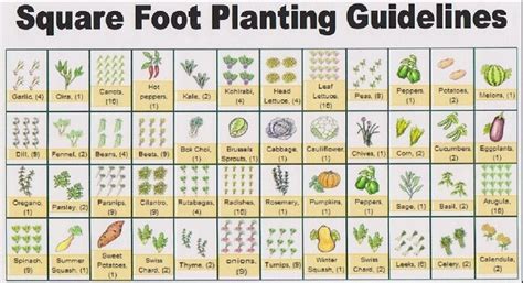 All New Square Foot Gardening By Mel Bartholomew Mazidentity