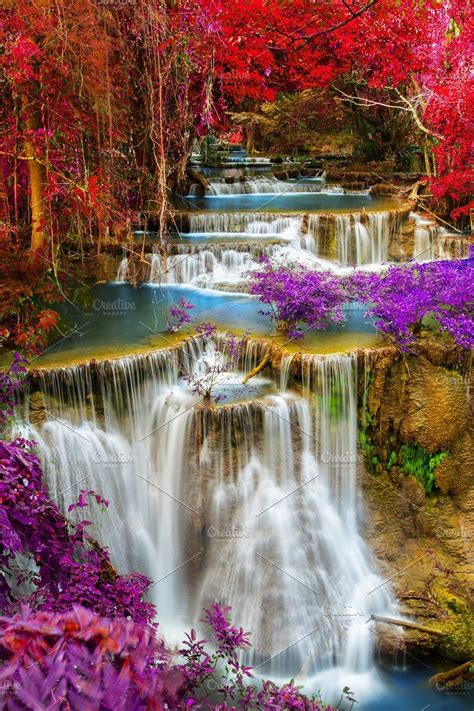 Beautiful Waterfall In The Forest With Purple Flowers And Red Leaves On
