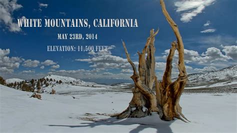 White Mountains California Youtube