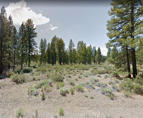 Canvasback Dr, Bonanza, OR 97623 | Land and Farm