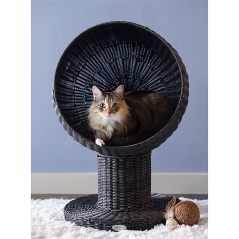 Kitty Ball Bed Award Winning Elevated Cat Bed The Refined Feline