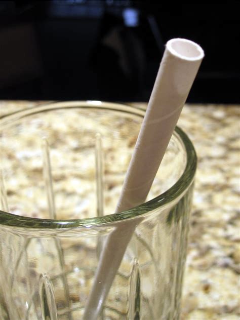 Plastic Free Drinking Straws Paper Glass And Stainless Steel My