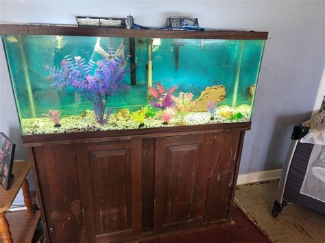 250 Gallon Fish Tank For Sale Compare Easily May 2022