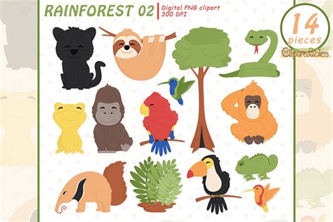 Cute Rainforest Animals Clipart Wild Animals Clip Art Jungle By