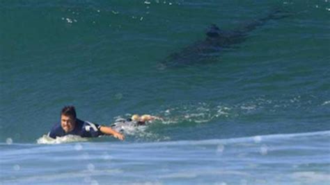 Floride un surfeur de 58 ans attaqué par un requin LINFO re Monde