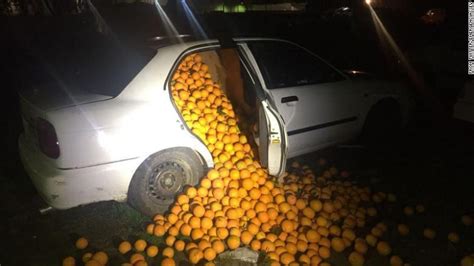 Suddenly Oranges Suddenly Bananas Thousands Of Them Know Your Meme