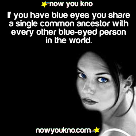 If You Have Blue Eyes You Share A Single Common Ancestor With Every Other Blue Eyed Person In