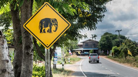 The Weirdest Road Signs Youve Come Across On Your Travels