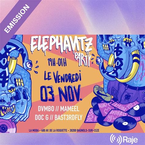 Electro Station Mameel And Elephantz Records Linterview Et Le Mix