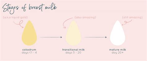 How To Express Colostrum During Pregnancy And Why You Should Do It