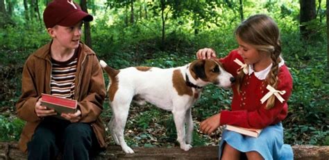My Dog Skip Film Review Spirituality And Practice
