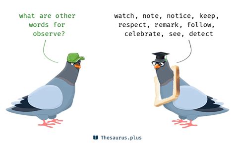Words Detect And Observe Have Similar Meaning
