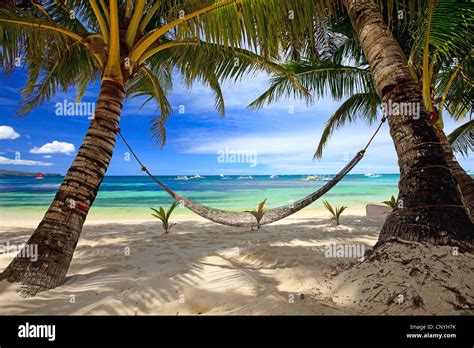 Una Hamaca Entre Dos Palmeras En Playa Tropical Filipinas Boracay