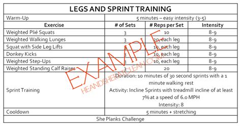 If your fitness goals are rooted in body composition, take a photo of yourself or get an inbody what is your current level of fitness? She Sweats Workout Plans - Sample Workout