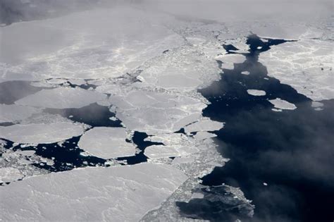Polar Ecosystems In A Changing World Ice Stories Dispatches From