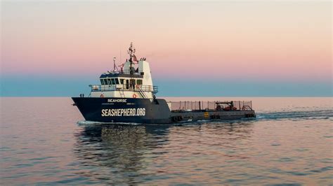Sea Shepherd Suma Un Nuevo Barco A La Operación Milagro Colaboración