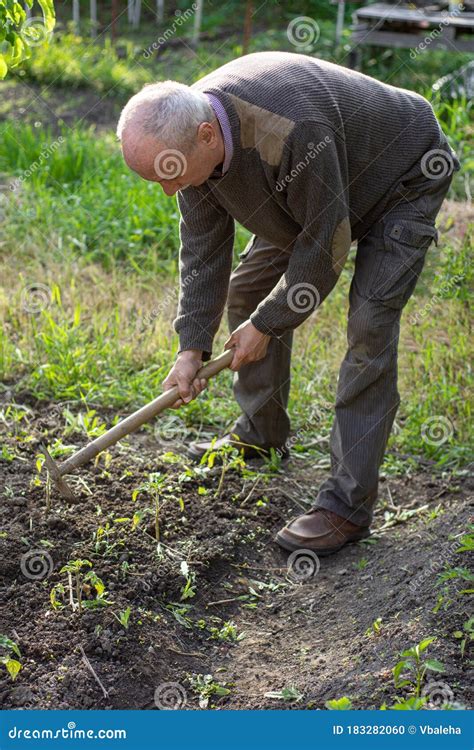 Homem Agricultor Trabalhando Com Enxada Em Jardim Vegetal Foto De Stock