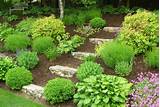 Photos of Backyard Landscaping On A Hill