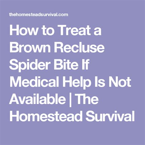 How To Treat Brown Recluse Spider Bite And Prevention Tips Otosection