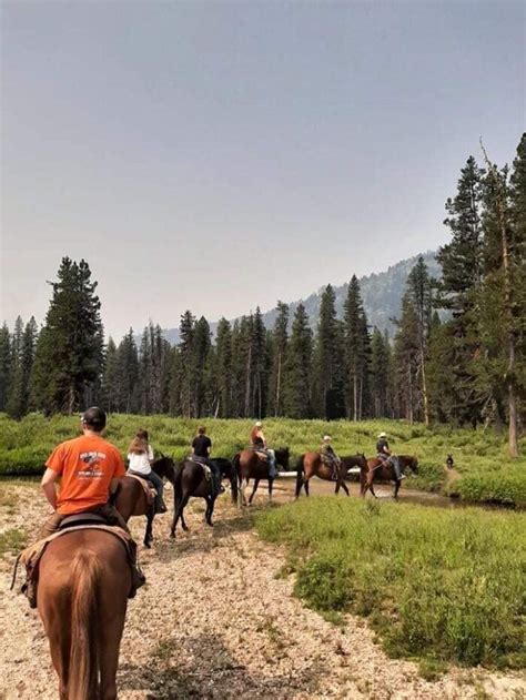 Take A Fall Foliage Trail Ride On Horseback With Deadwood Outfitters In