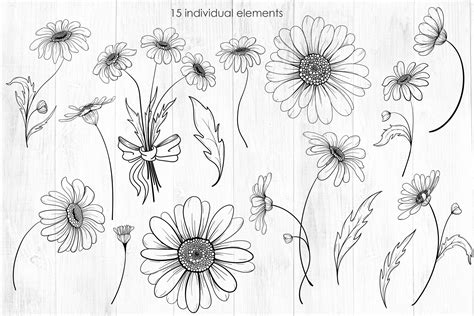 Daisy And Leaves SVG PNG Hand Drawn Doodle Flowers Cut