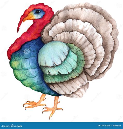 Multi Colored Bright Watercolor Turkey For Thanksgiving Design Stock