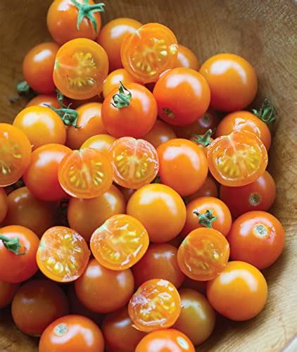 The Best Tasting Tomatoes 7 Delicious Varieties To Grow In Your Garden