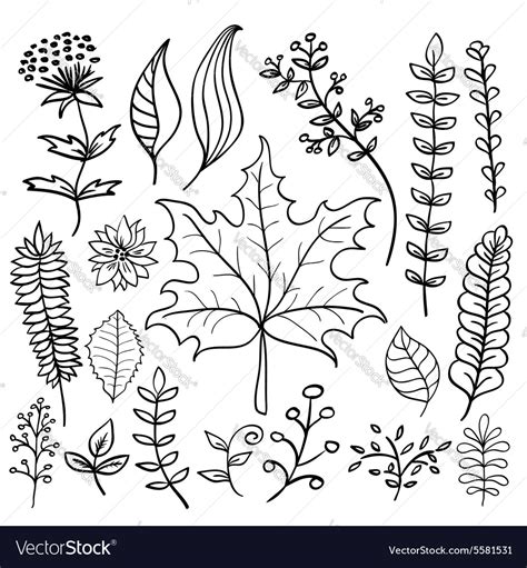 Hand Drawn Doodle Leaves Set Royalty Free Vector Image